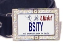 To add this item in your Shopping Cart drag and drop this picture there