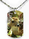 To add this item in your Shopping Cart drag and drop this picture there