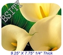 To add this item in your Shopping Cart drag and drop this picture there