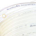1pc PU Polyurethane Tubing1/4"OD Transparent Clear
