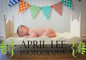 DIY Large Whimsical Newborn Baby Photography Prop 