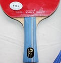 Palio 2Star Expert Table Tennis Bat with Free Case