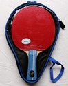 Palio 2Star Expert Table Tennis Bat with Free Case