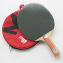 Short Pips-out + Pips-in DHS Table Tennis Paddle B