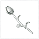 To add this item in your Shopping Cart drag and drop this picture there