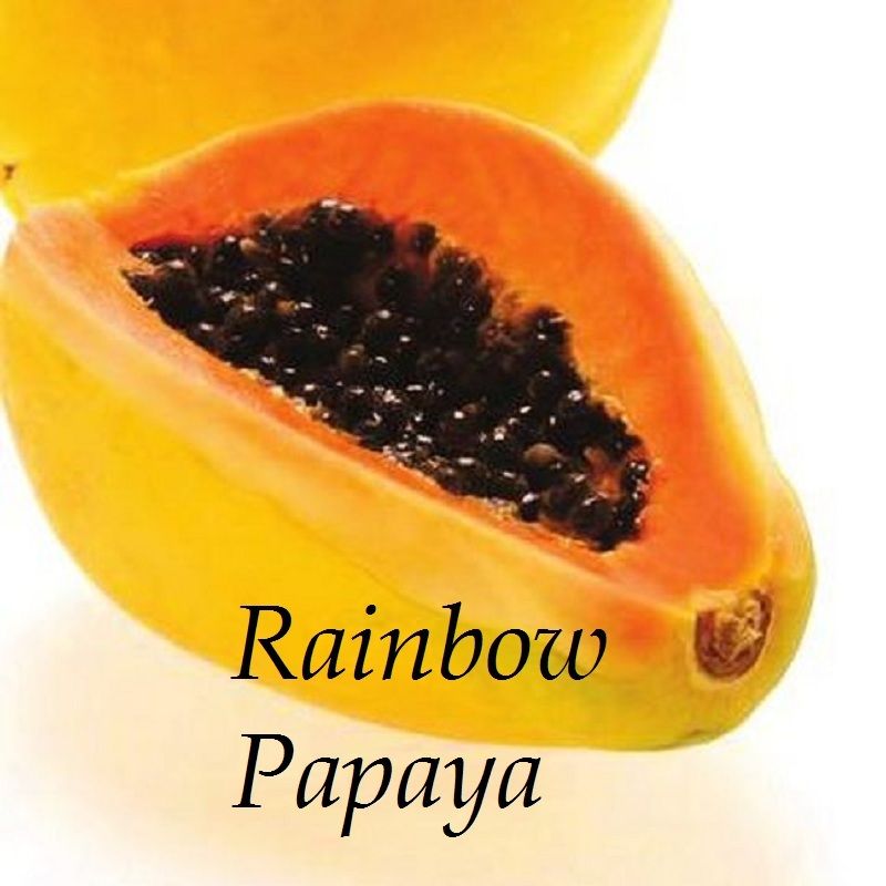 Polynesian Produce Stand GMO RAINBOW PAPAYA Ring Spot Virus Disease