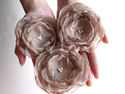 To add this item in your Shopping Cart drag and drop this picture there