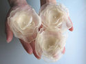 To add this item in your Shopping Cart drag and drop this picture there