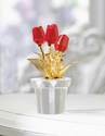 To add this item in your Shopping Cart drag and drop this picture there