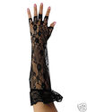 To add this item in your Shopping Cart drag and drop this picture there