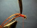 Fly Tying Lesson -Private Specialty Lesson -2 Peop