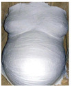 BASIC Pregnancy Belly Cast Kit