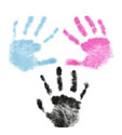 To add this item in your Shopping Cart drag and drop this picture there