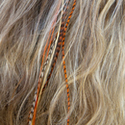 Orange Original Featherheads
