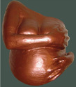 Bold Pregnancy Belly Cast  Decorating Kit