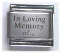 To add this item in your Shopping Cart drag and drop this picture there