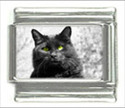 To add this item in your Shopping Cart drag and drop this picture there