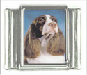 To add this item in your Shopping Cart drag and drop this picture there