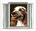 To add this item in your Shopping Cart drag and drop this picture there