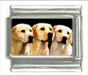 To add this item in your Shopping Cart drag and drop this picture there