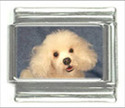 To add this item in your Shopping Cart drag and drop this picture there