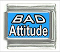 To add this item in your Shopping Cart drag and drop this picture there