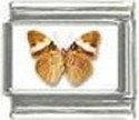 To add this item in your Shopping Cart drag and drop this picture there