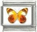To add this item in your Shopping Cart drag and drop this picture there