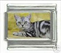To add this item in your Shopping Cart drag and drop this picture there