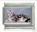 To add this item in your Shopping Cart drag and drop this picture there