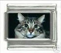 To add this item in your Shopping Cart drag and drop this picture there