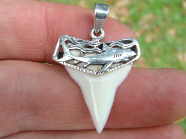 Shark tooth silver с чем пить