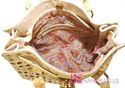 Exotic Designer Inspired Fashion METAL HOLE VEGAN 