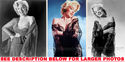 To add this item in your Shopping Cart drag and drop this picture there