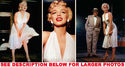 To add this item in your Shopping Cart drag and drop this picture there