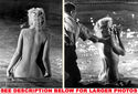 To add this item in your Shopping Cart drag and drop this picture there