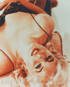 To add this item in your Shopping Cart drag and drop this picture there