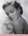 To add this item in your Shopping Cart drag and drop this picture there