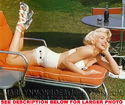 To add this item in your Shopping Cart drag and drop this picture there