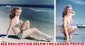 To add this item in your Shopping Cart drag and drop this picture there