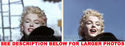 To add this item in your Shopping Cart drag and drop this picture there