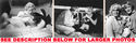 To add this item in your Shopping Cart drag and drop this picture there