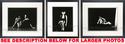 To add this item in your Shopping Cart drag and drop this picture there