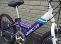 2001 Specialized Hotrock Girls 7spd Mountain Bike