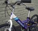 2001 Specialized Hotrock Girls 7spd Mountain Bike