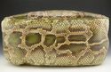 GUCCI PYTHON SHOULDER BAG / TOTE BAG MULTI COLOR -