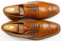 New - MEPHISTO sz EU 8/US 8.5 PAULINO WINGTIP OXFO