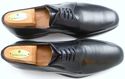 BRUNO MAGLI sz 10 M RANUNCOLO LEATHER OXFORDS M011