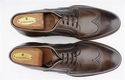 New - MAGNANNI sz 8 BURNISHED WINGTIP OXFORD 14263