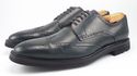 DOLCE & GABBANA sz 9.5 LEATHER WINGTIP OXFORDS CA5